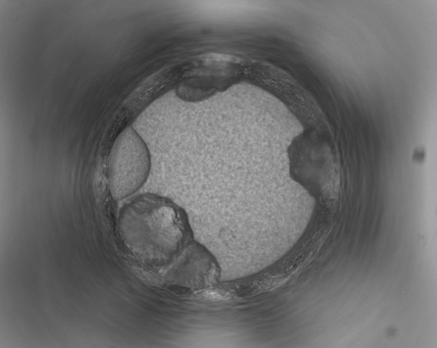 X0000116490737201001201403