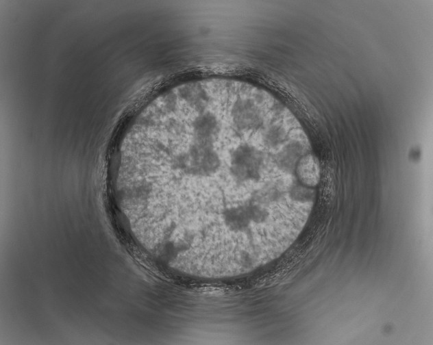 X0000116490738201001201403