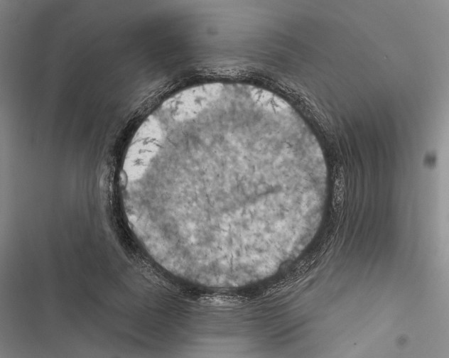 X0000116490739201001201403