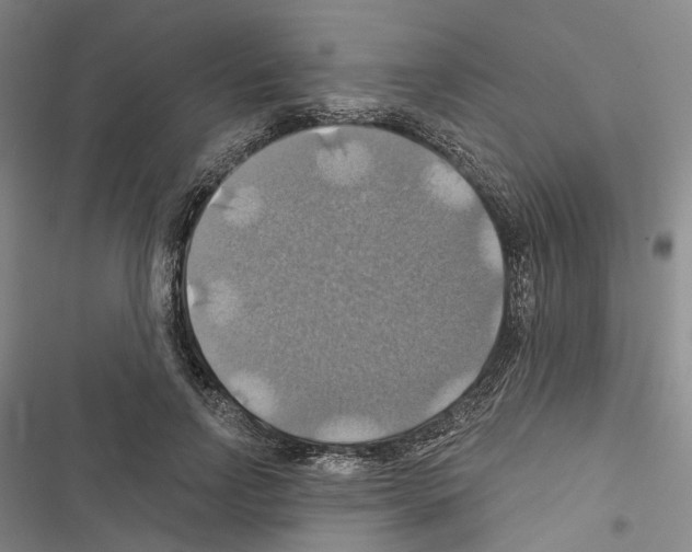 X0000116490742201001201403