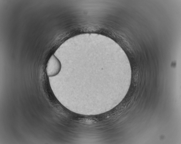 X0000116490743201001201403