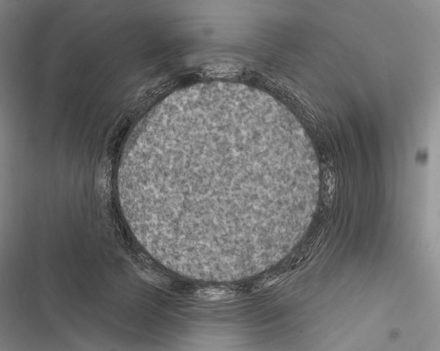 X0000116490745201001201403