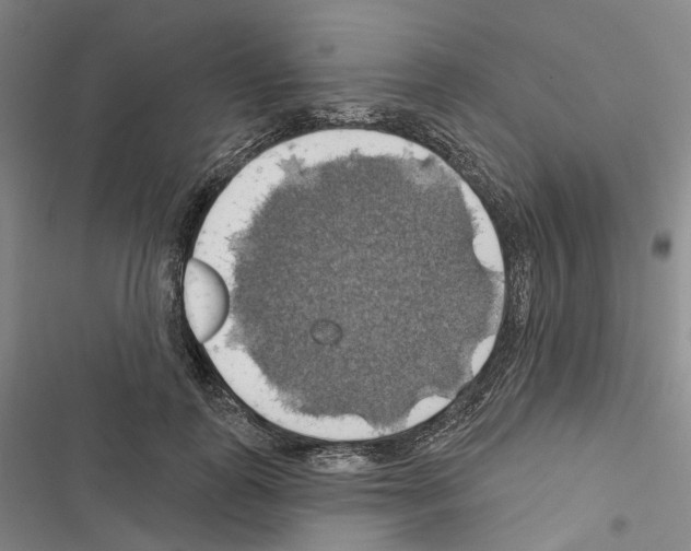 X0000116490747201001201403