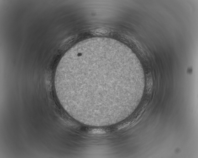 X0000116490749201001201403