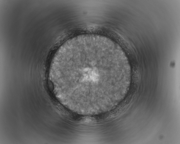 X0000116490750201001201403