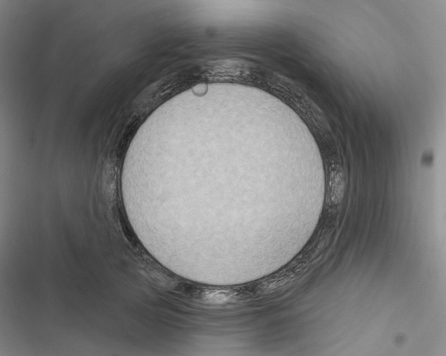 X0000116490753201001201403