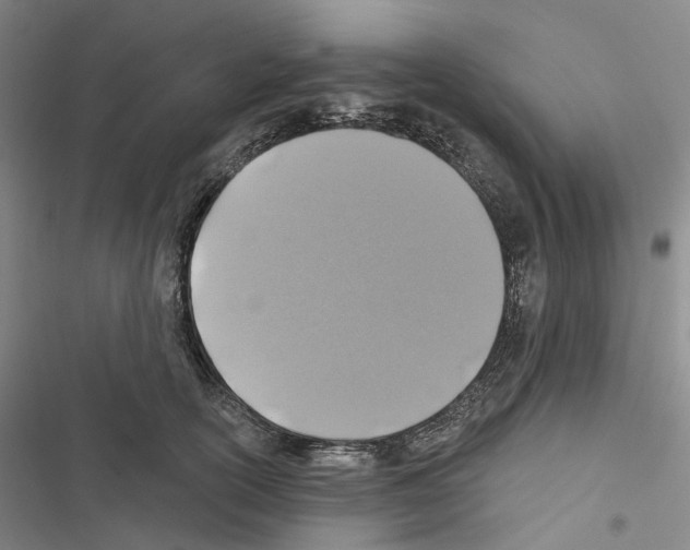 X0000116490754201001201403