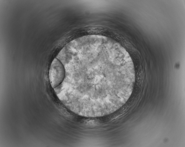 X0000116490755201001201403