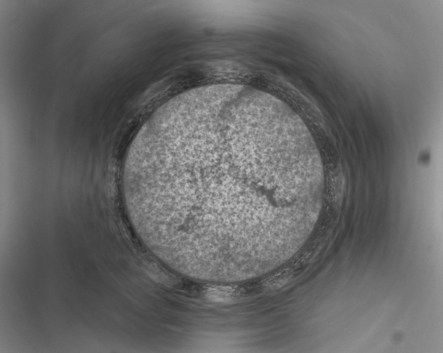 X0000116490757201001201403