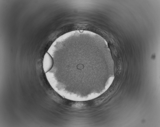 X0000116490759201001201403