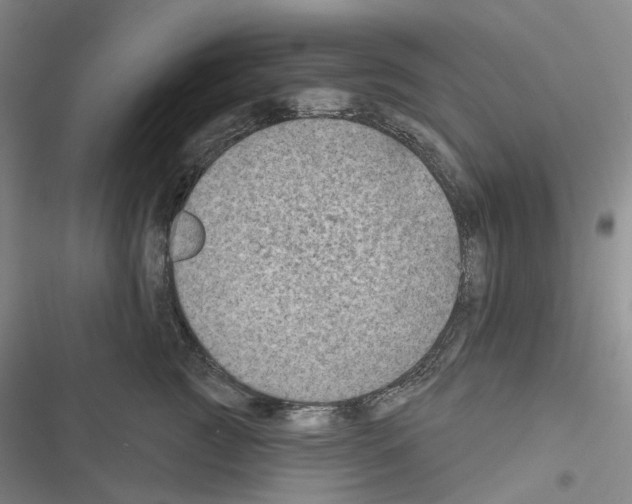 X0000116490761201001201403