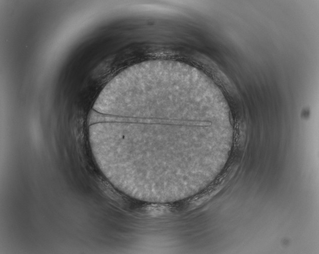 X0000116490762201001201403