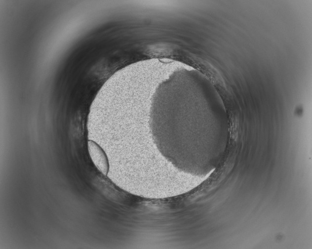 X0000116490763201001201403