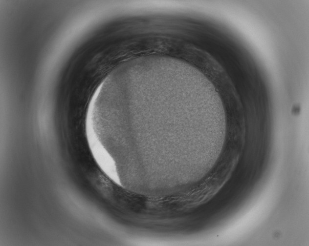 X0000116490766201001201403