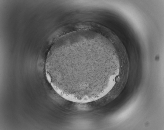 X0000116490767201001201403