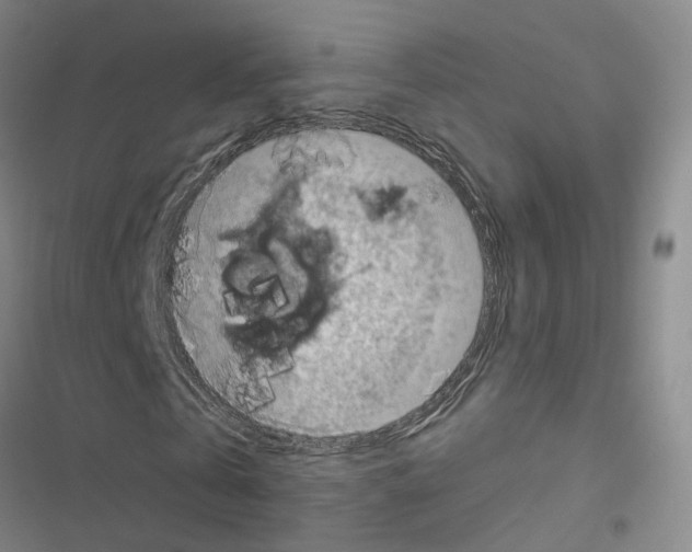 X0000116490769201001201402