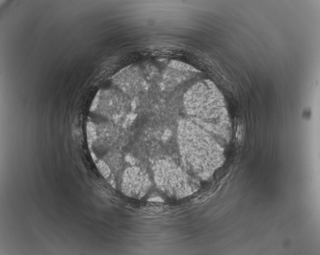 X0000116490771201001201402