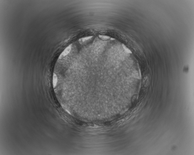 X0000116490772201001201402