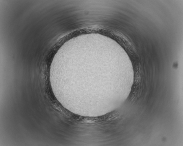 X0000116490773201001201402