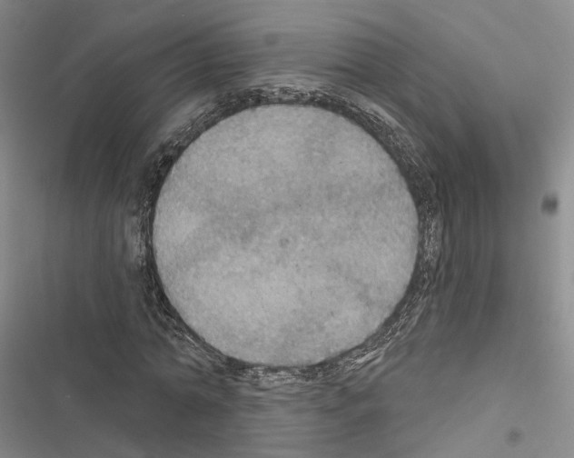 X0000116490774201001201402