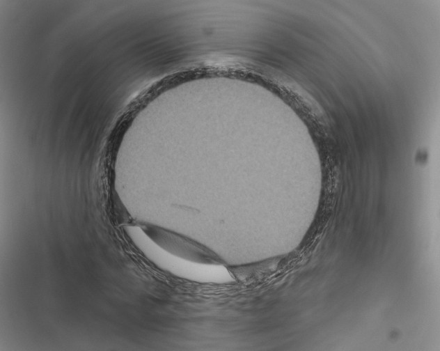 X0000116490776201001201402