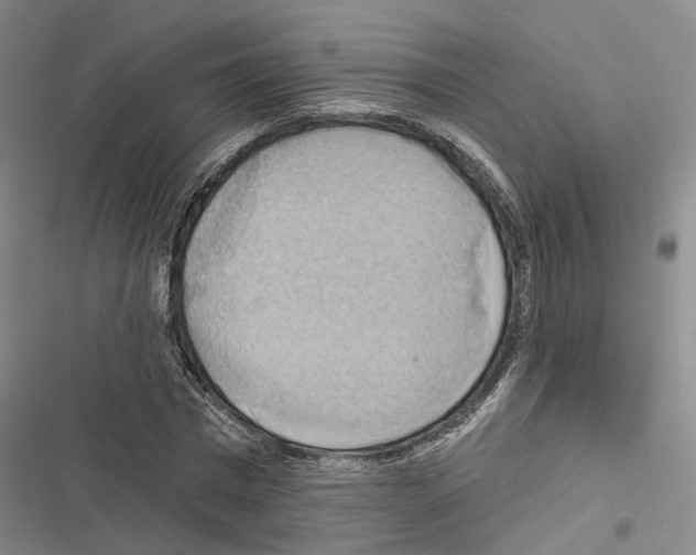 X0000116490777201001201402