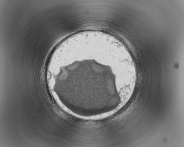 X0000116490779201001201402