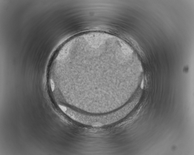 X0000116490780201001201402