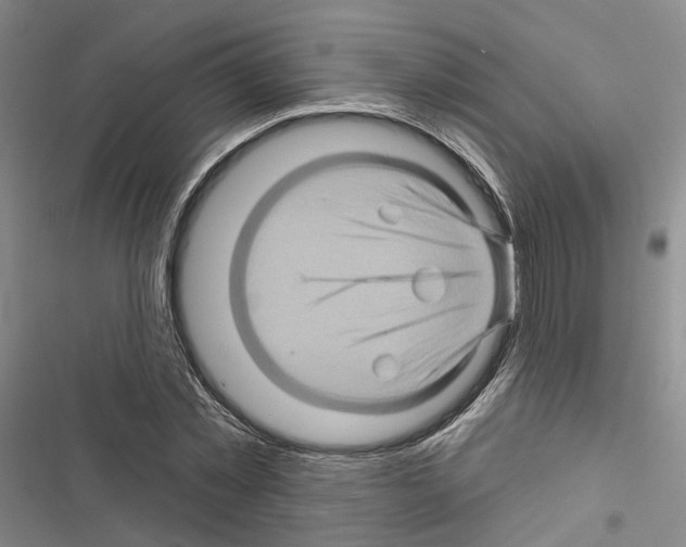 X0000116490781201001201402