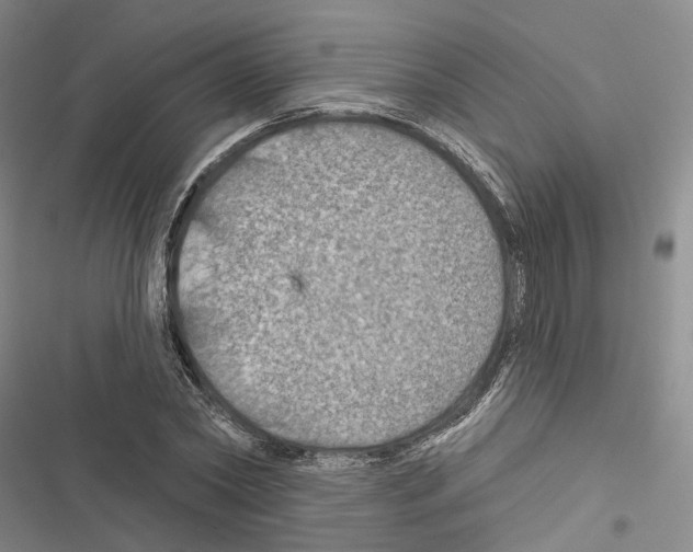 X0000116490782201001201402