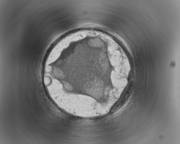 X0000116490783201001201402