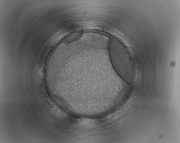 X0000116490785201001201402