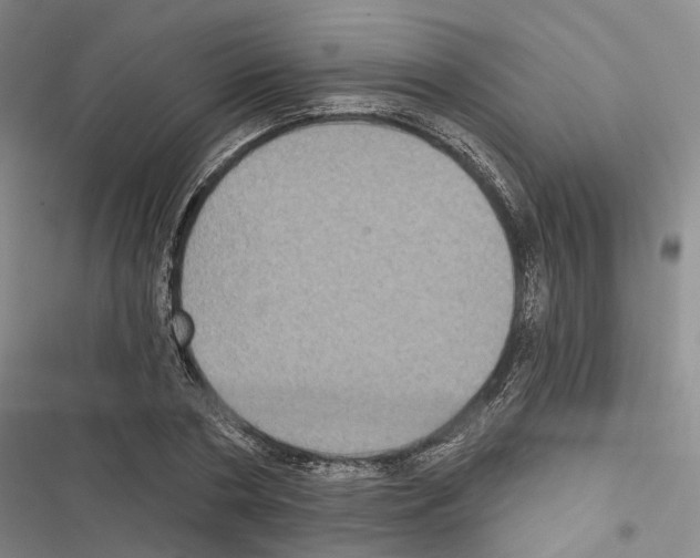 X0000116490786201001201402