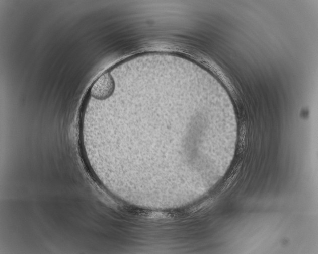 X0000116490787201001201402