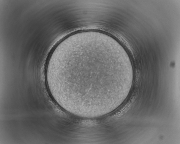 X0000116490789201001201402