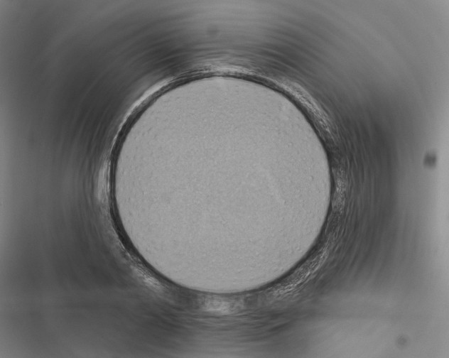 X0000116490790201001201402