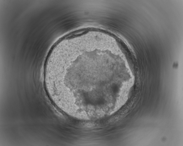 X0000116490791201001201402