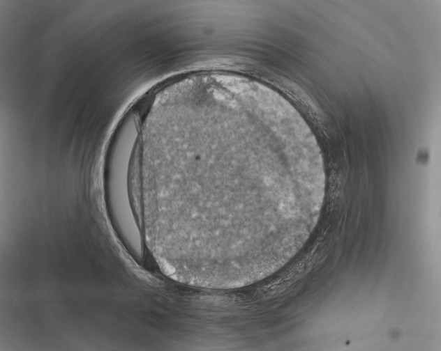 X0000116490792201001201402