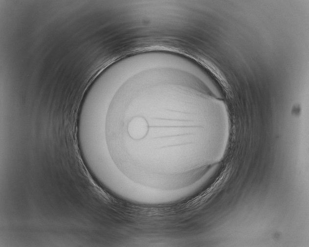 X0000116490793201001201402