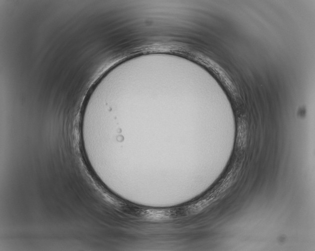 X0000116490794201001201402