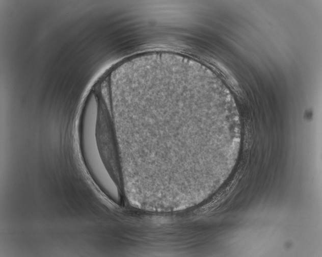 X0000116490796201001201402