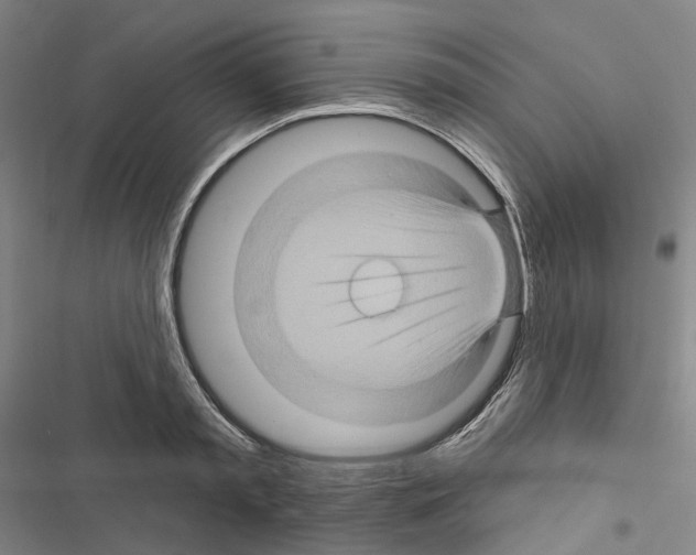 X0000116490797201001201402