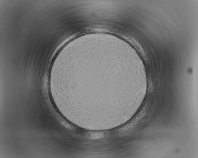 X0000116490798201001201402