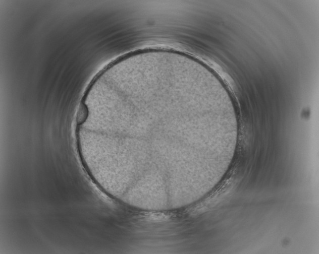 X0000116490799201001201402