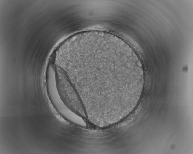 X0000116490800201001201402