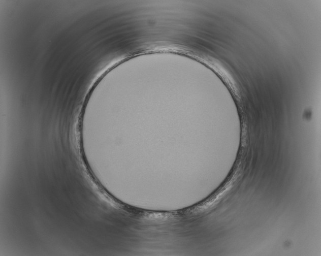 X0000116490806201001201402