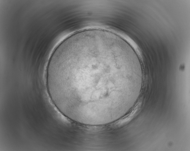 X0000116490807201001201402