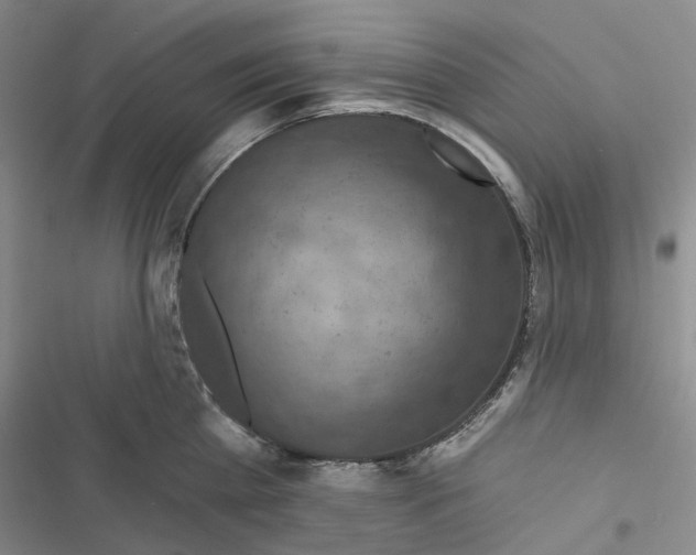 X0000116490809201001201402