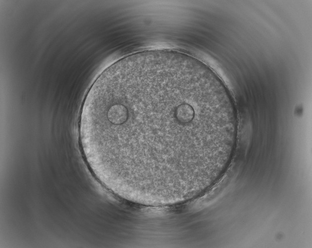 X0000116490810201001201402