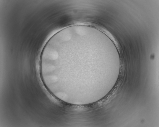 X0000116490811201001201402